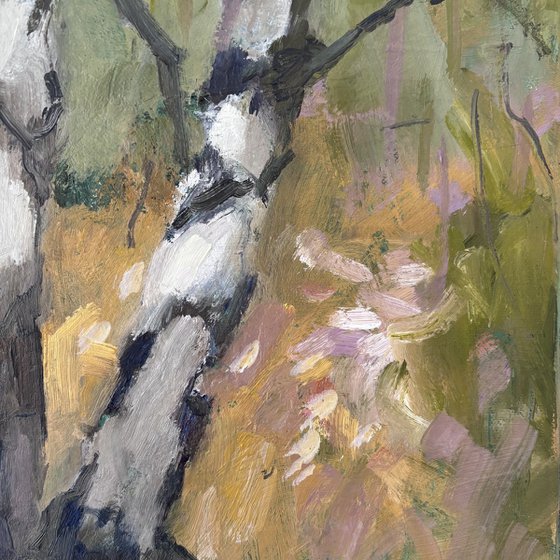 Birch Forest 2