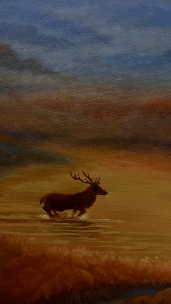 Richmond Park Sunrise