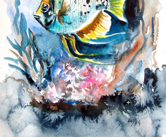 Fish collection