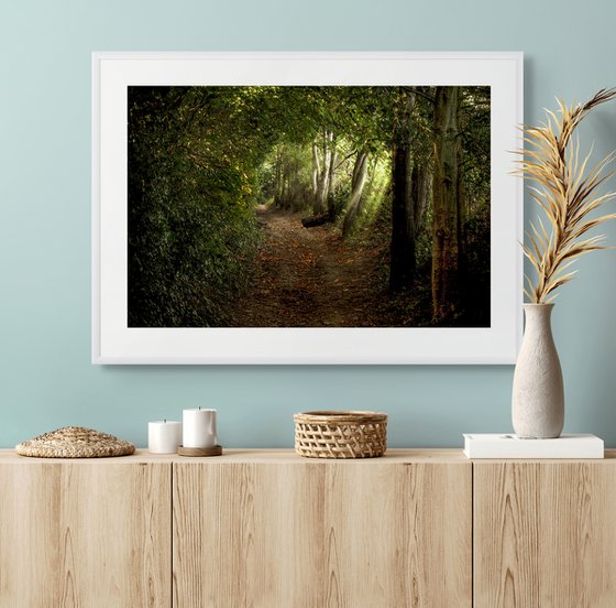 The Path to Flimwell