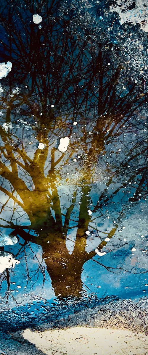Amber Twilight : by Julien Boissaud