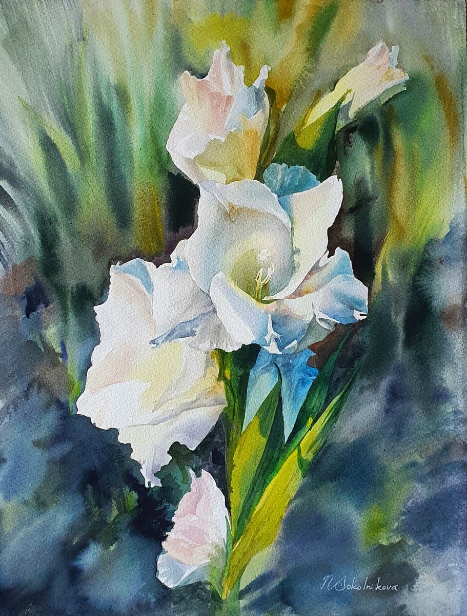 Sword lily by Natasha Sokolnikova