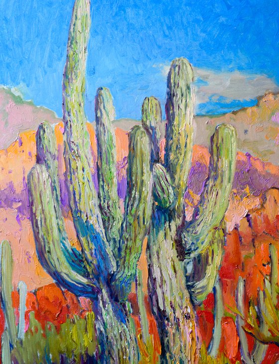 Saguaro Cactuses in the Desert