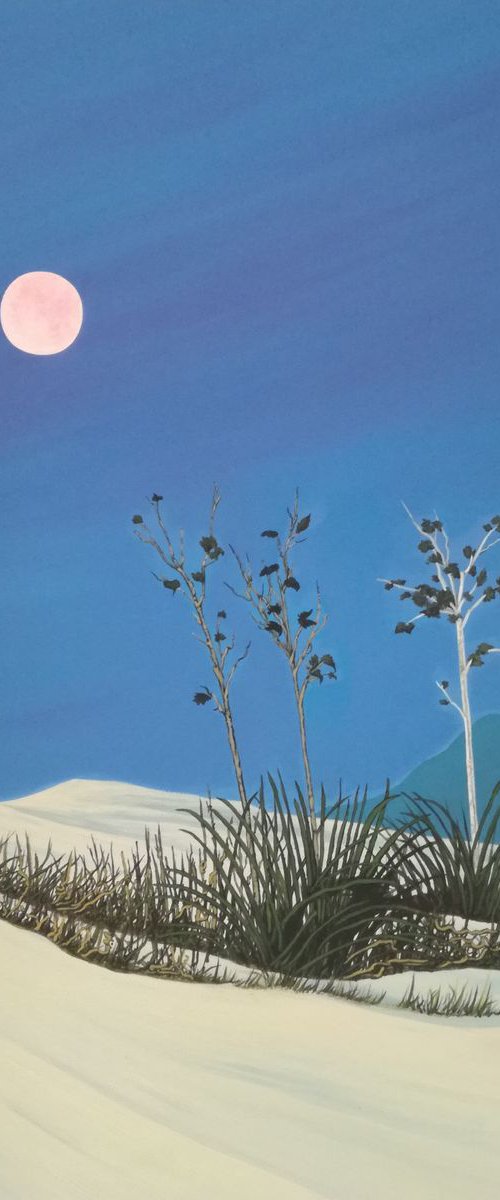 Desert Moon. by Zoe Adams