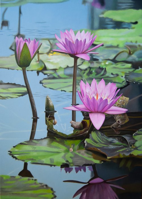Water lillies by Valeri Tsvetkov