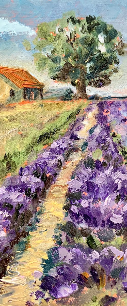 Italy Lavender Fields by Alexandra Jagoda (Ovcharenko)