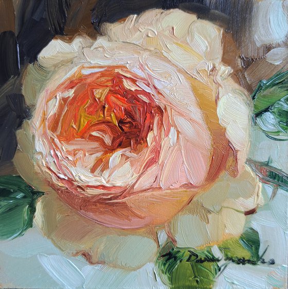 Rose painting