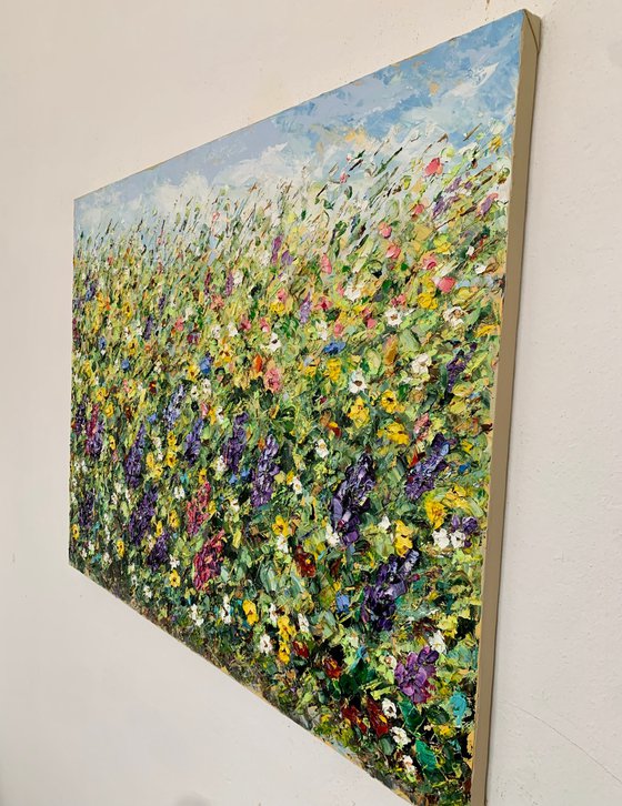 Field of blooming lupines