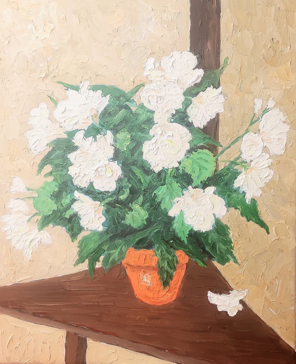 Botanical Oil Painting By Colin Ross Jack, 20 X 24, White Flowers, Original Artwork