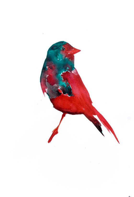 Bird