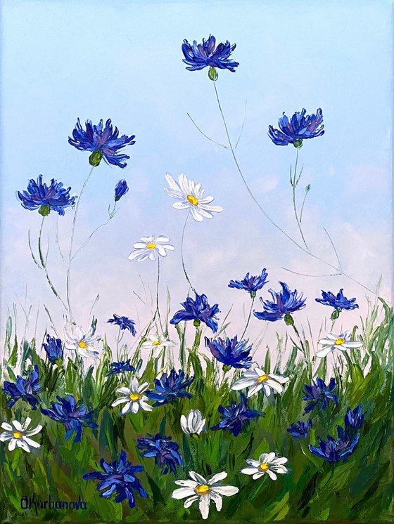 Cornflower-daisy field