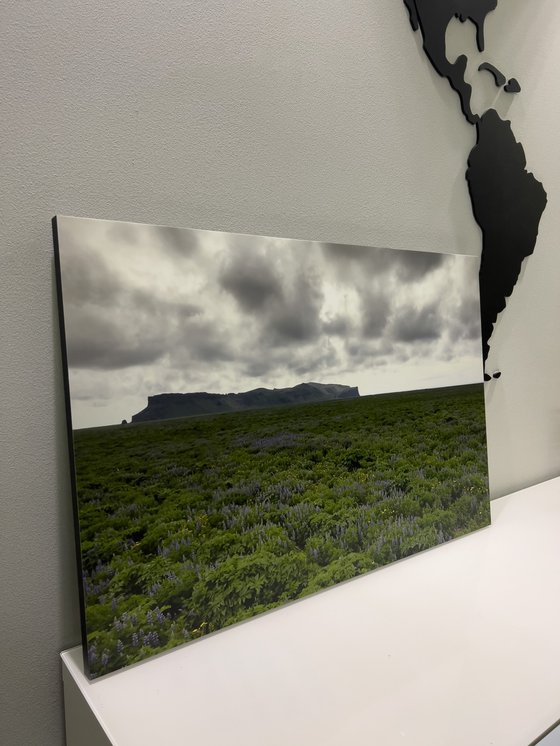 ICELANDIC EXPANSE