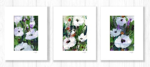 Abstract Floral Collection 3 - 3 Flower Paintings in mats by Kathy Morton Stanion by Kathy Morton Stanion