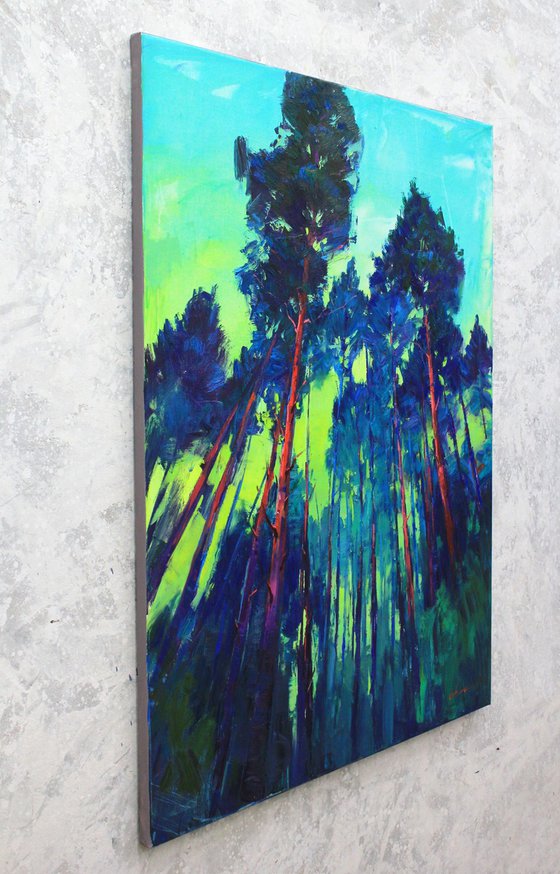 Pine Forest
