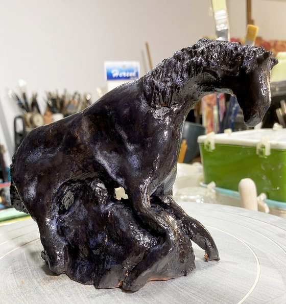 Equus