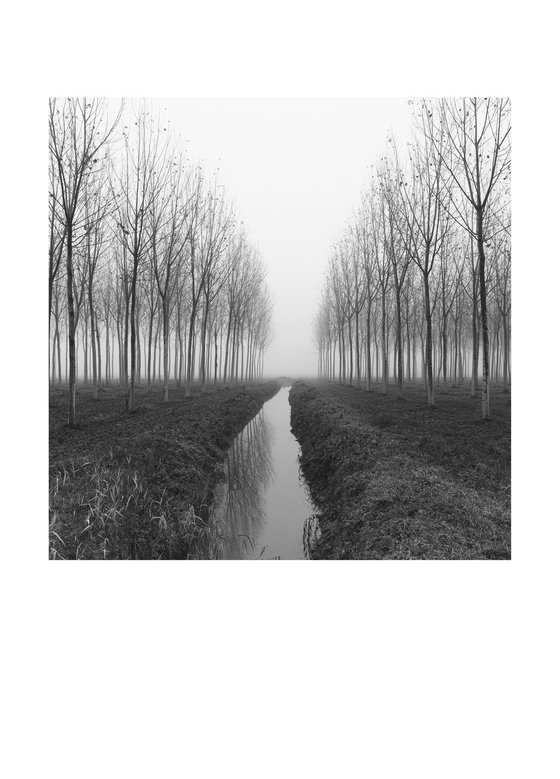 Crossing