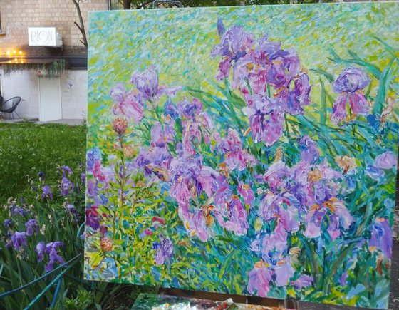 Irises in the light of the wind.