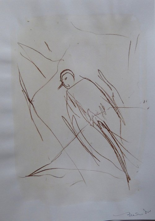 The Birds C20-35, 29x21 cm by Frederic Belaubre
