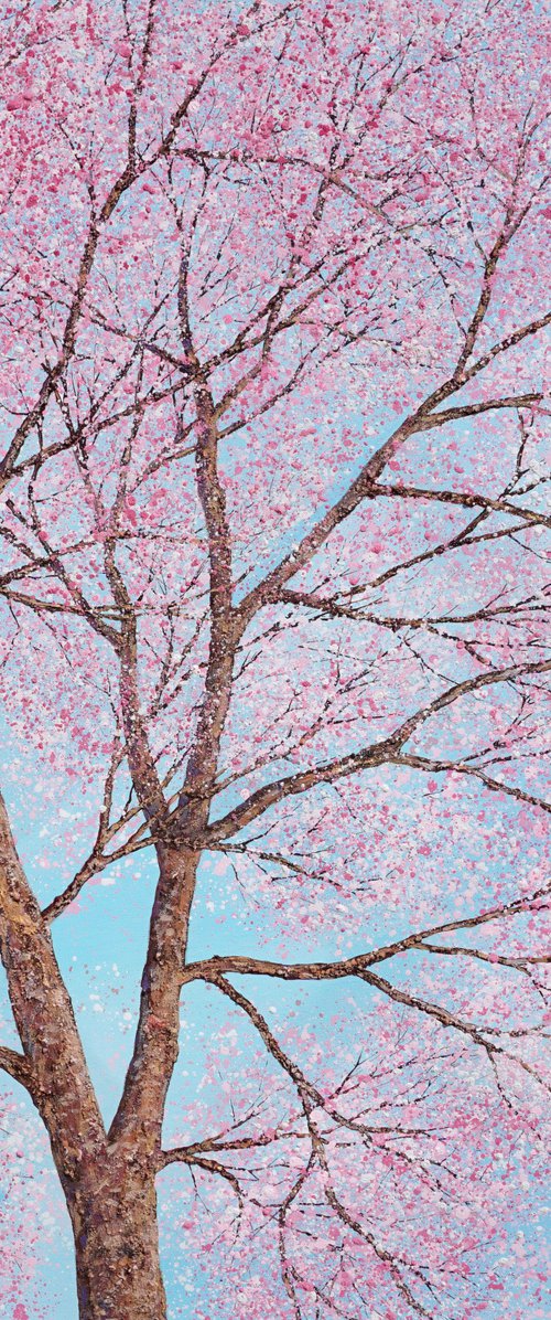 Below The Cherry Blossom Tree | 100cm x 100cm by Chris Bourne