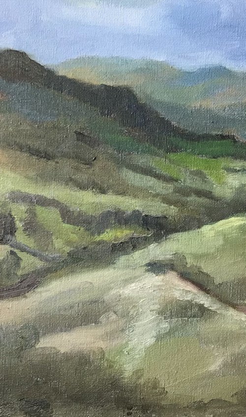 Brecon Beacons mountains, an original oil painting, by Julian Lovegrove Art