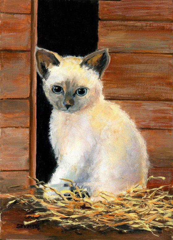 'A kitten in the barn'
