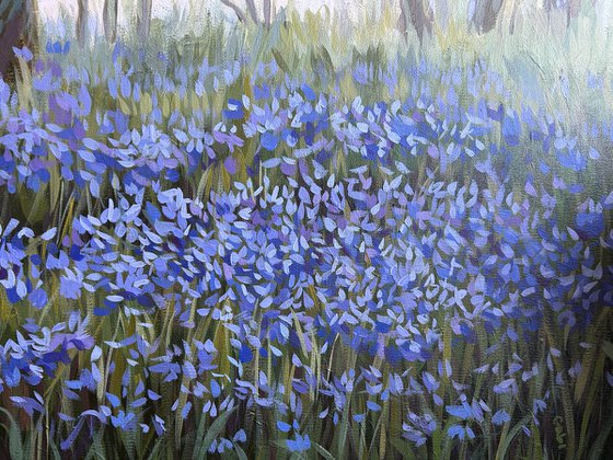 Springtime in the Woods II