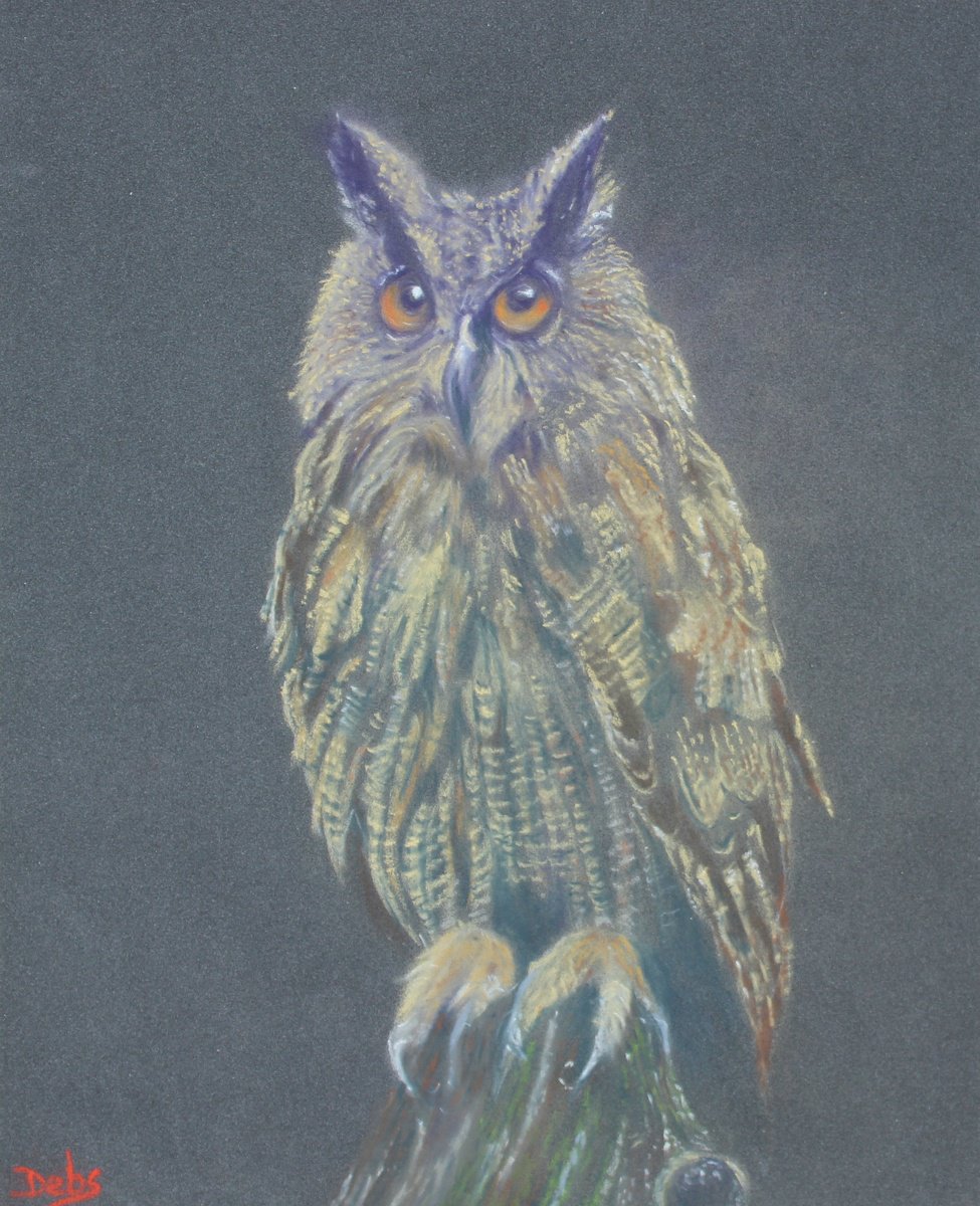 Impressionistic Animal Pencil Drawing By Debbie Young, 10 X 12, Wise Old Owl, Original Artwork