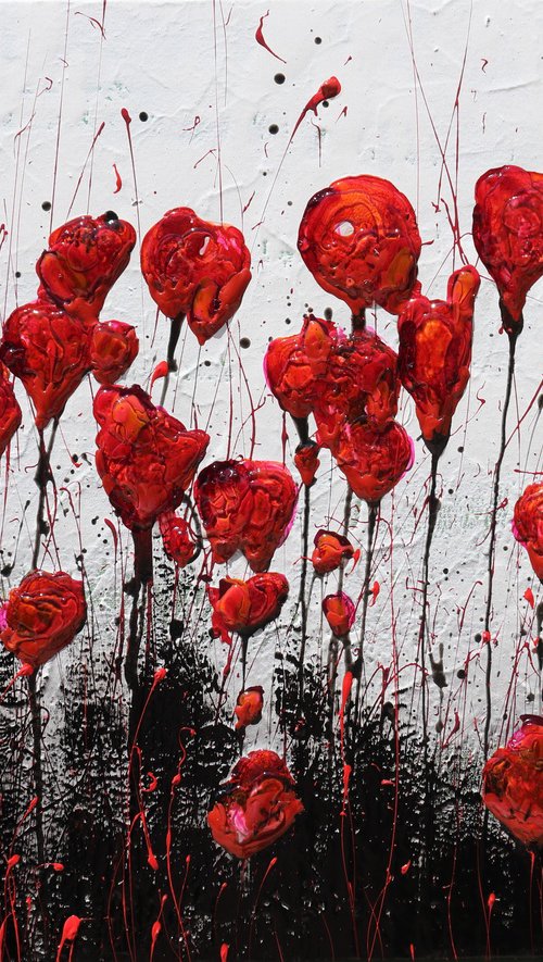 melted poppies by Donatella Marraoni