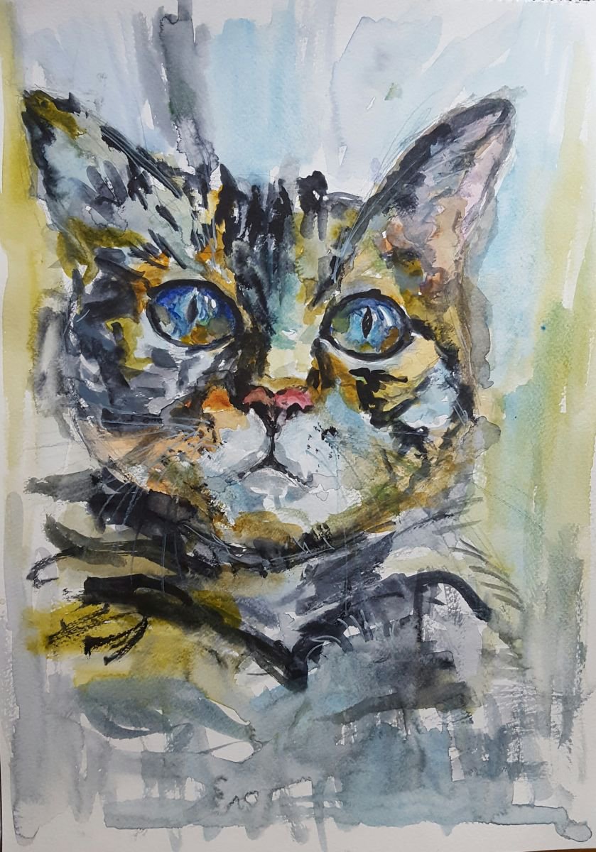 cat1 by Elina Venkova