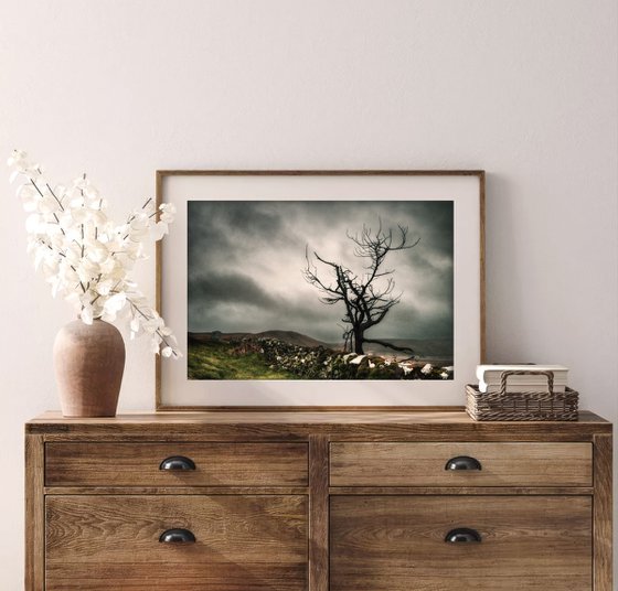 Melancholy in the Highlands