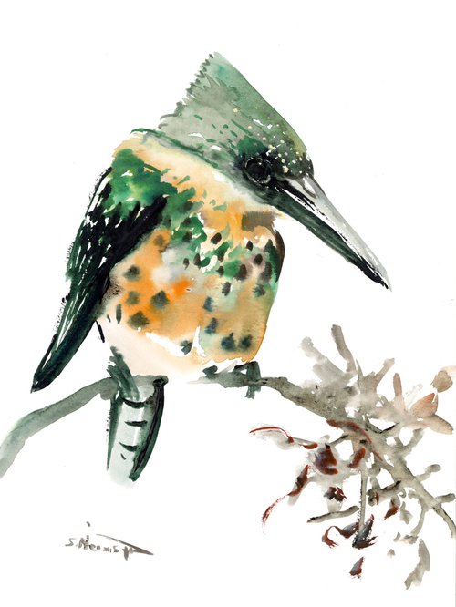 Green Kingfisher by Suren Nersisyan