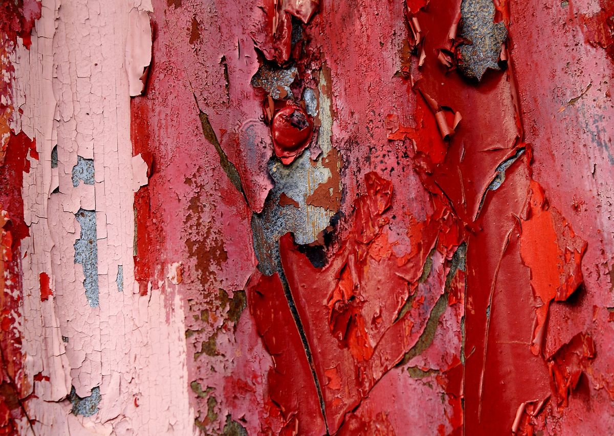Red Flakes by Hannah Cawthorne