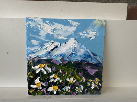 Daisies in the mountains