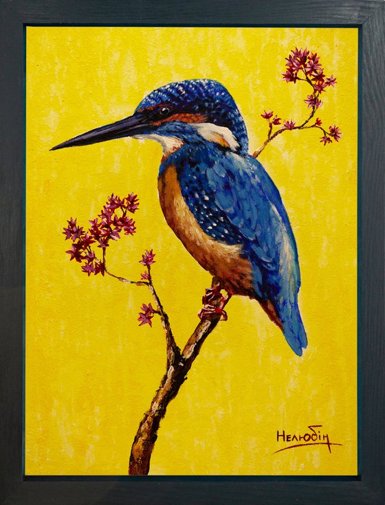 Kingfisher