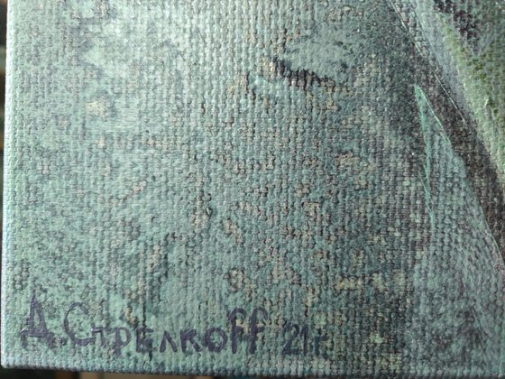 When the Fern Blooms