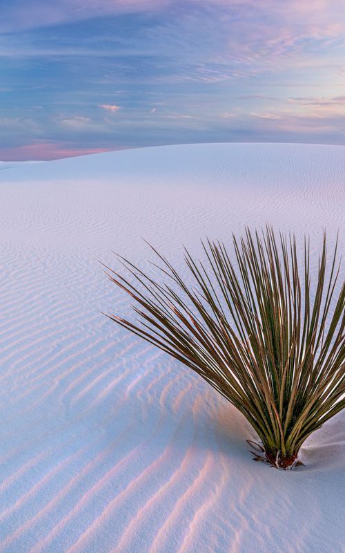 White Dunes, New Mexico - Limited Edition by Francesco Carucci