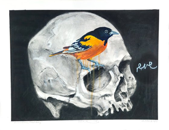 Second Skull First Lady