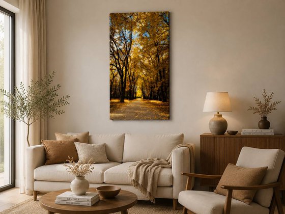 Autumn Calm VII — Golden Avenue