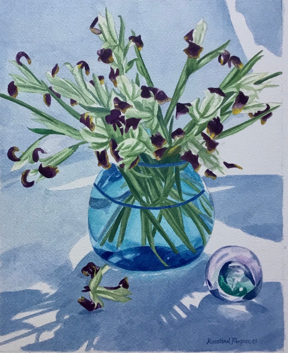Snakes head Irises by Rosalind Forster