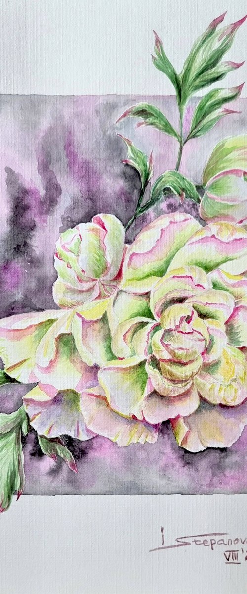 Watercolor peony - a cozy painting - botanical bright accents with white flower - 21х29.5 cm by Irina Stepanova