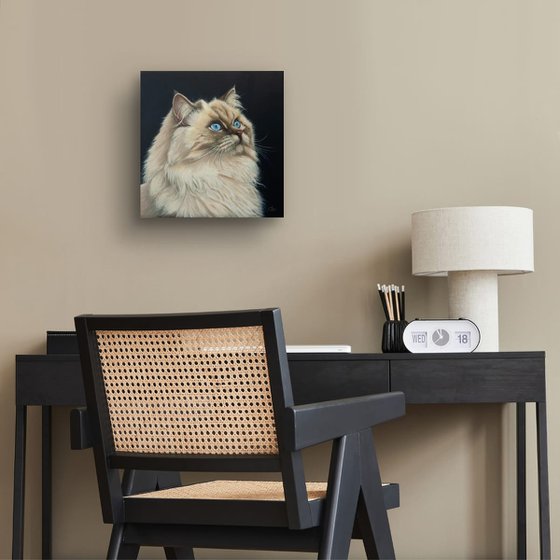 Gaze Into the Infinite — Siamese Cat Portrait