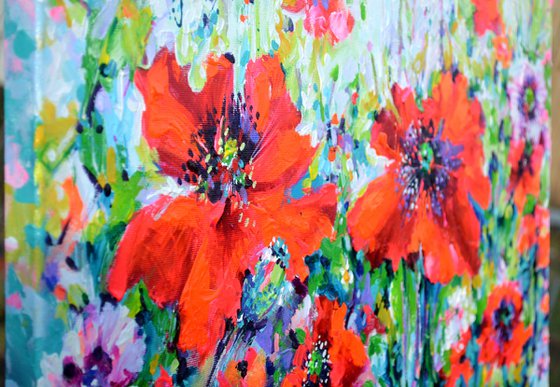 Papaveri Orientali Poppy Oriental Red Poppies
