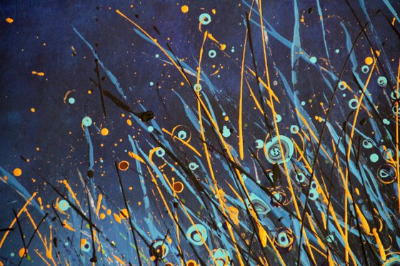 "Notturno Regale" #14