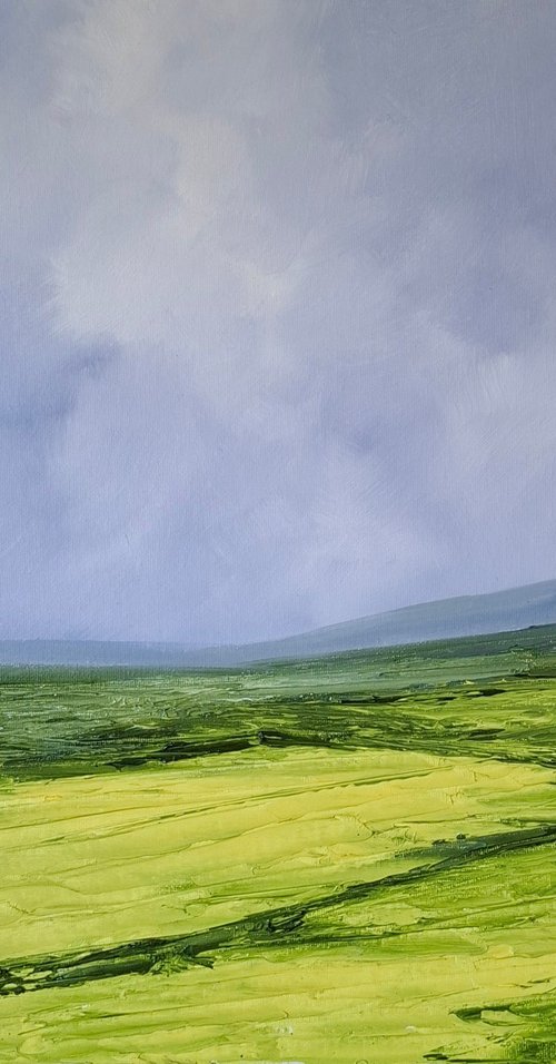Fields of Gold by John Halliday