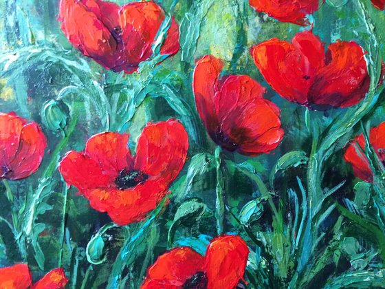 Red Poppies