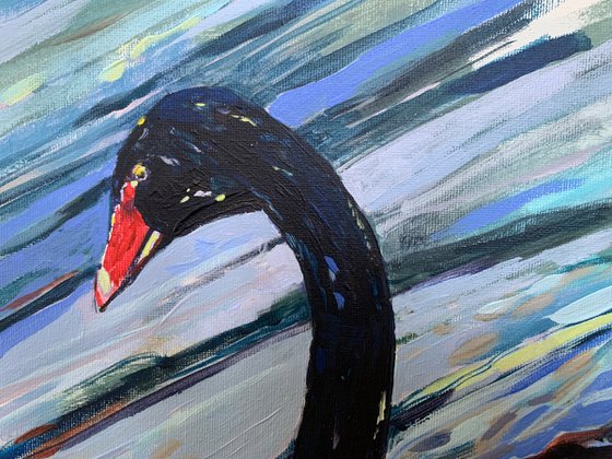 The Lonely Black Swan