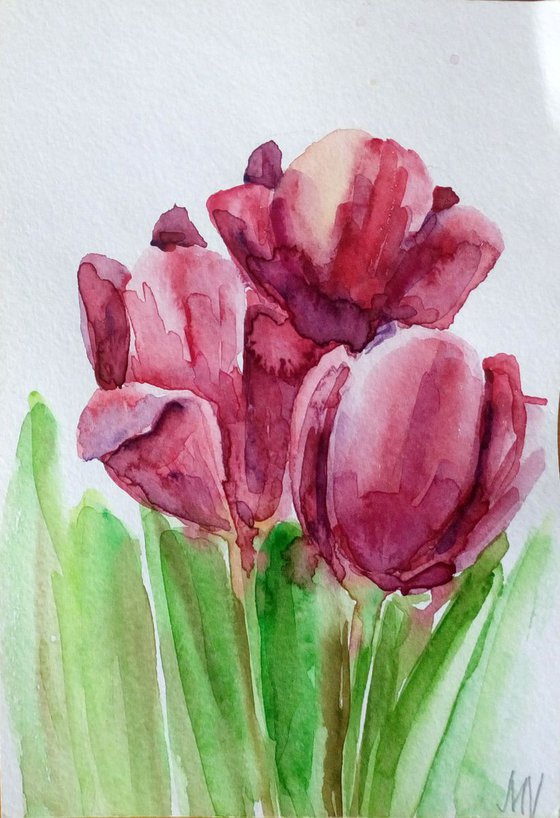 Tulips.