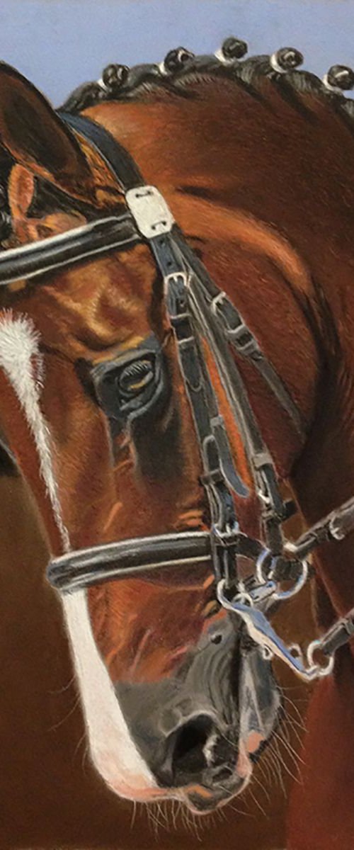Beautiful Horse by Gary Thomas