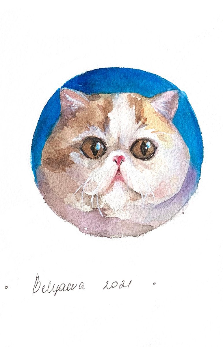 Cat by Belyaeva Oleksandra