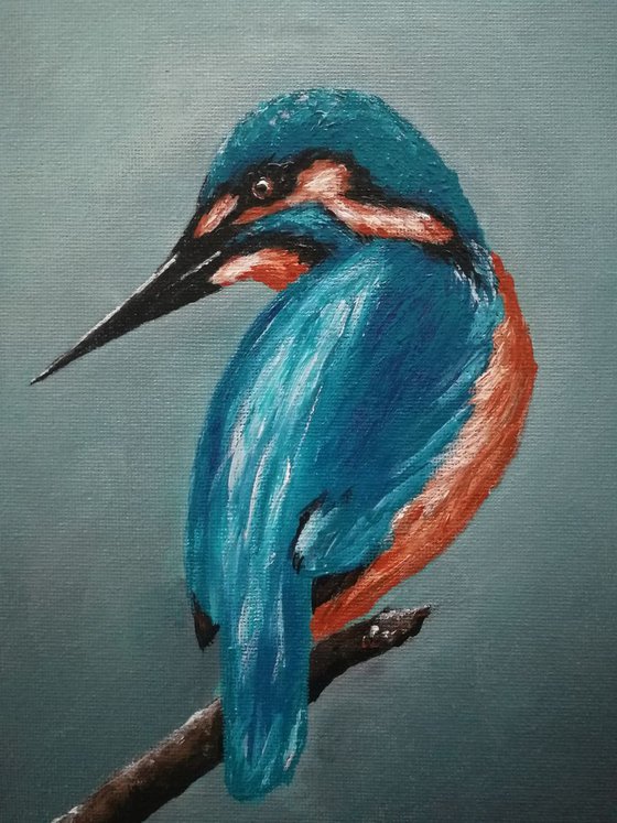 Kingfisher original acrylic bird painting - Small wall art